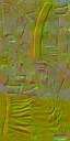 c5800_LG_n_l.jpg