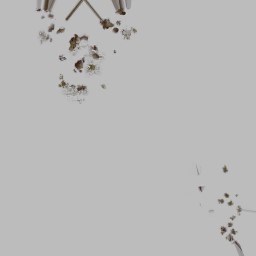 c5810_Body_Speckle_a_l.jpg