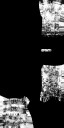 c5830_LG_m_l.jpg