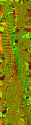 c5870_WP_A_0636_n_l.jpg