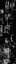 c5880_Weapon_R_m_l.jpg