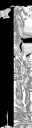 c6210_WP_A_1403_m_l.jpg