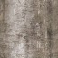 c6251_Shield_bark_a_l.jpg