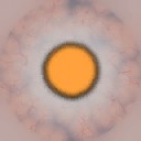 c8902_Eye_a_l.jpg