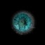 c8907_FC_Eye_em_l.jpg