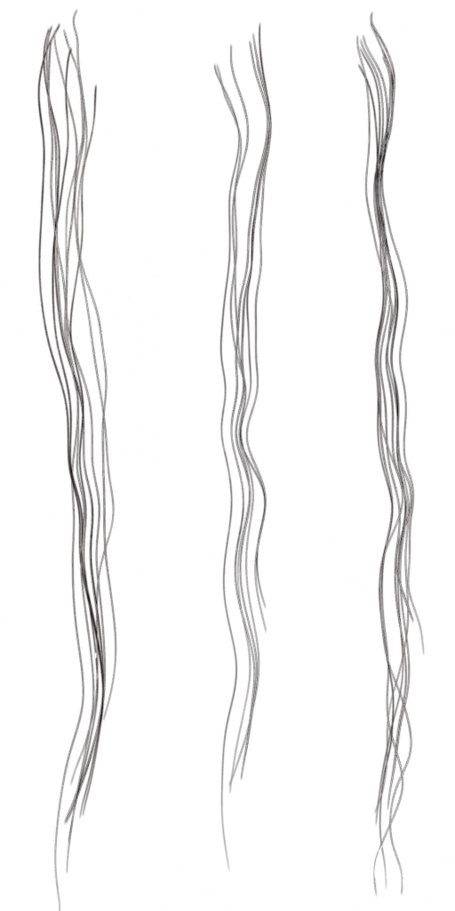 c2131_Hair_a.png
