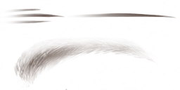 c2180_Eyebrow_a.png