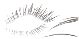 c2180_Eyelash_a.png