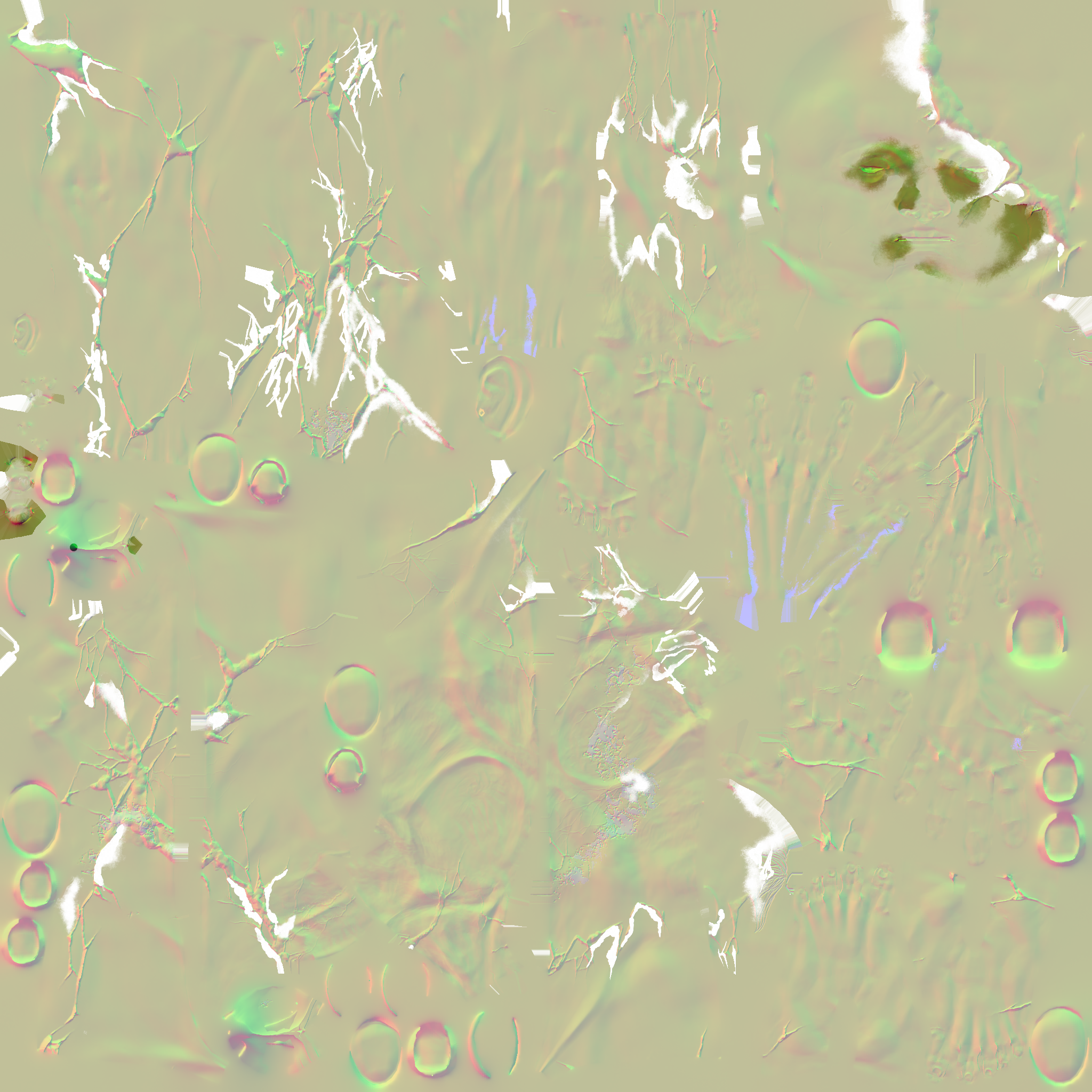 c2191_body_n.png