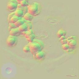 c3010_face_n.png