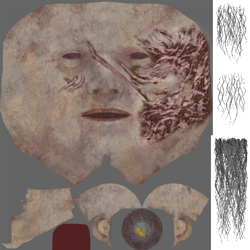 c3050_Face_Damage_a.png