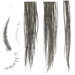 c3200_FC_Hair_a.png