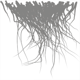 c4160_fur_a.png