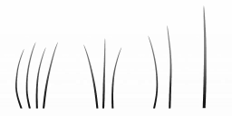 c4280_Fur_a.png