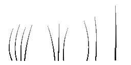c4281_Fur_a.png