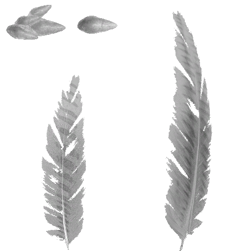 c4505_Feather_1_a.png
