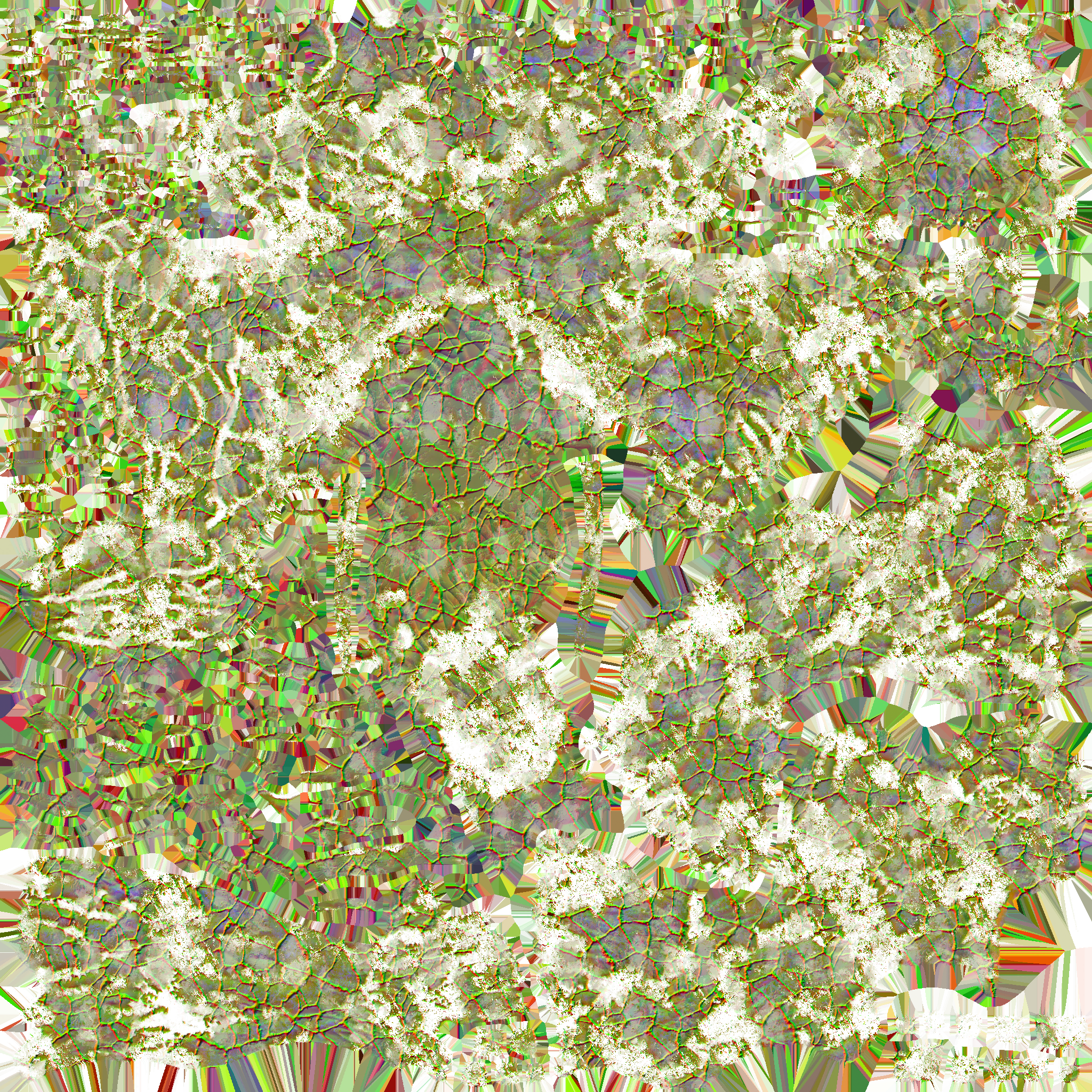 c4603_body_crack_n.png