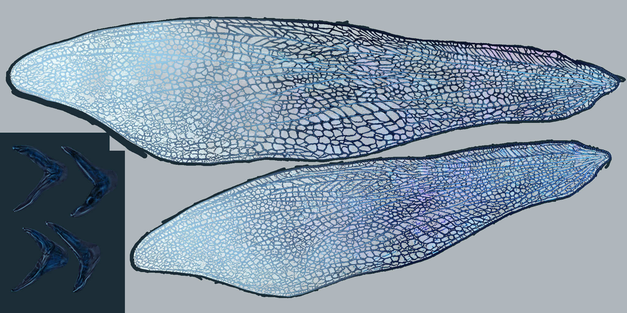 c4620_Wing_a.png