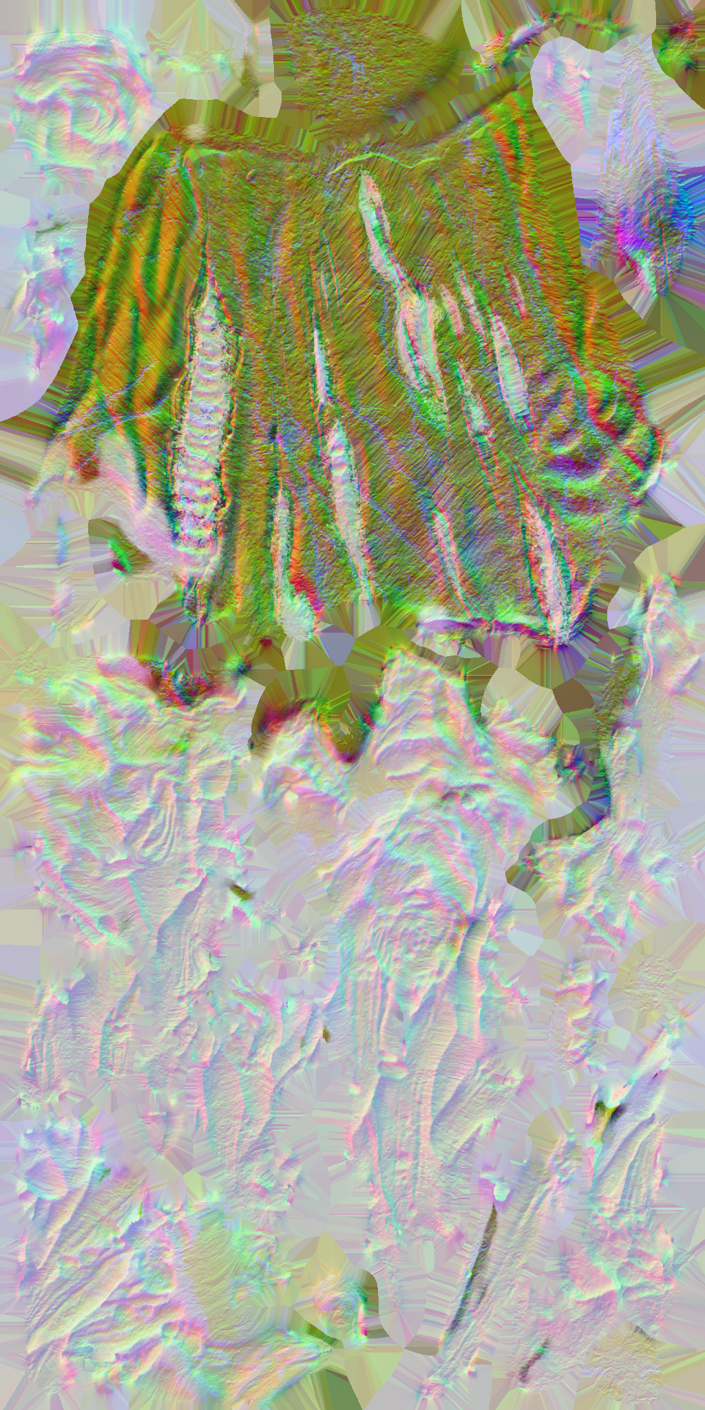 c4750_c4500_Body_n.png