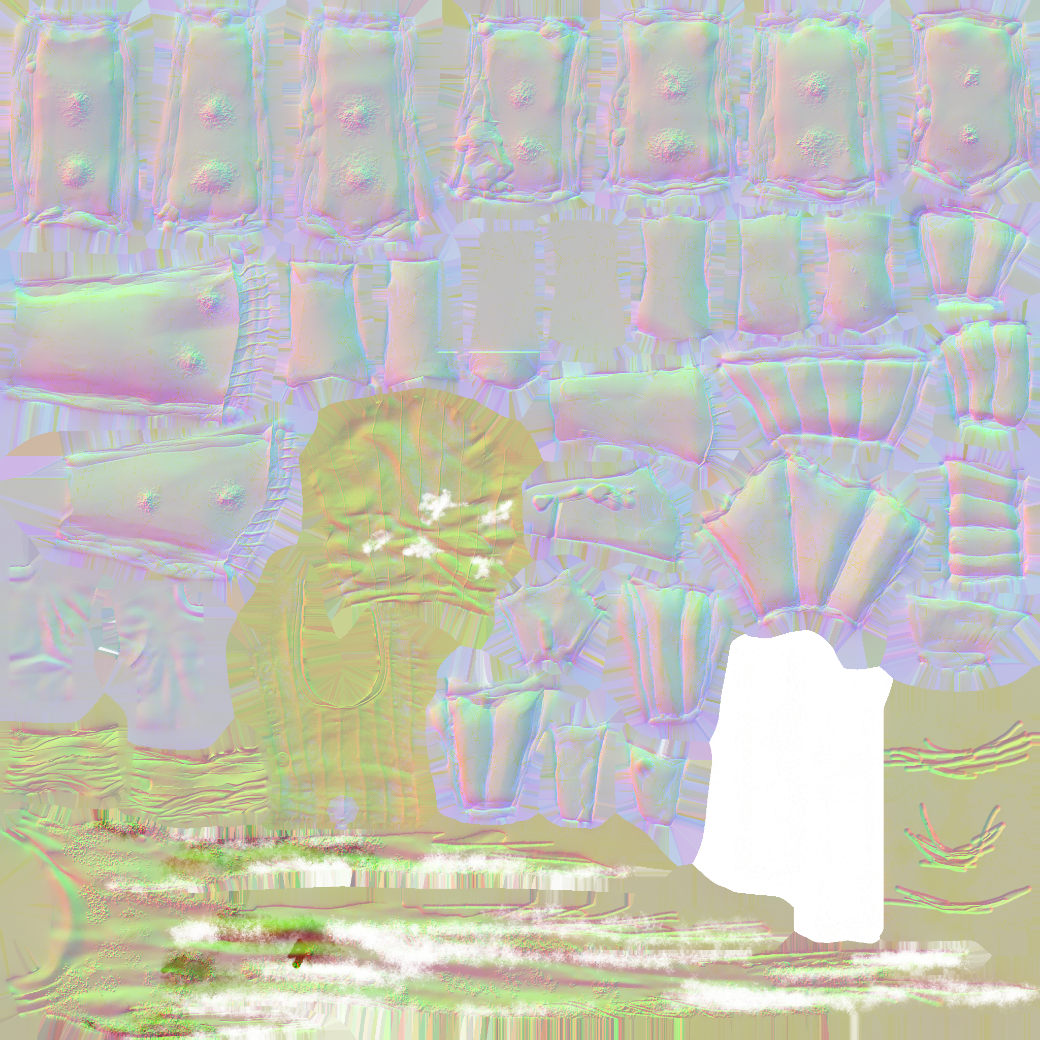c5000_BD_n.png