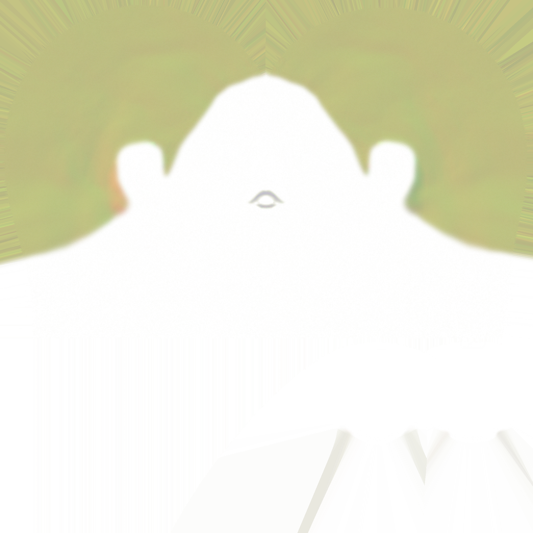 c5131_Face_n.png