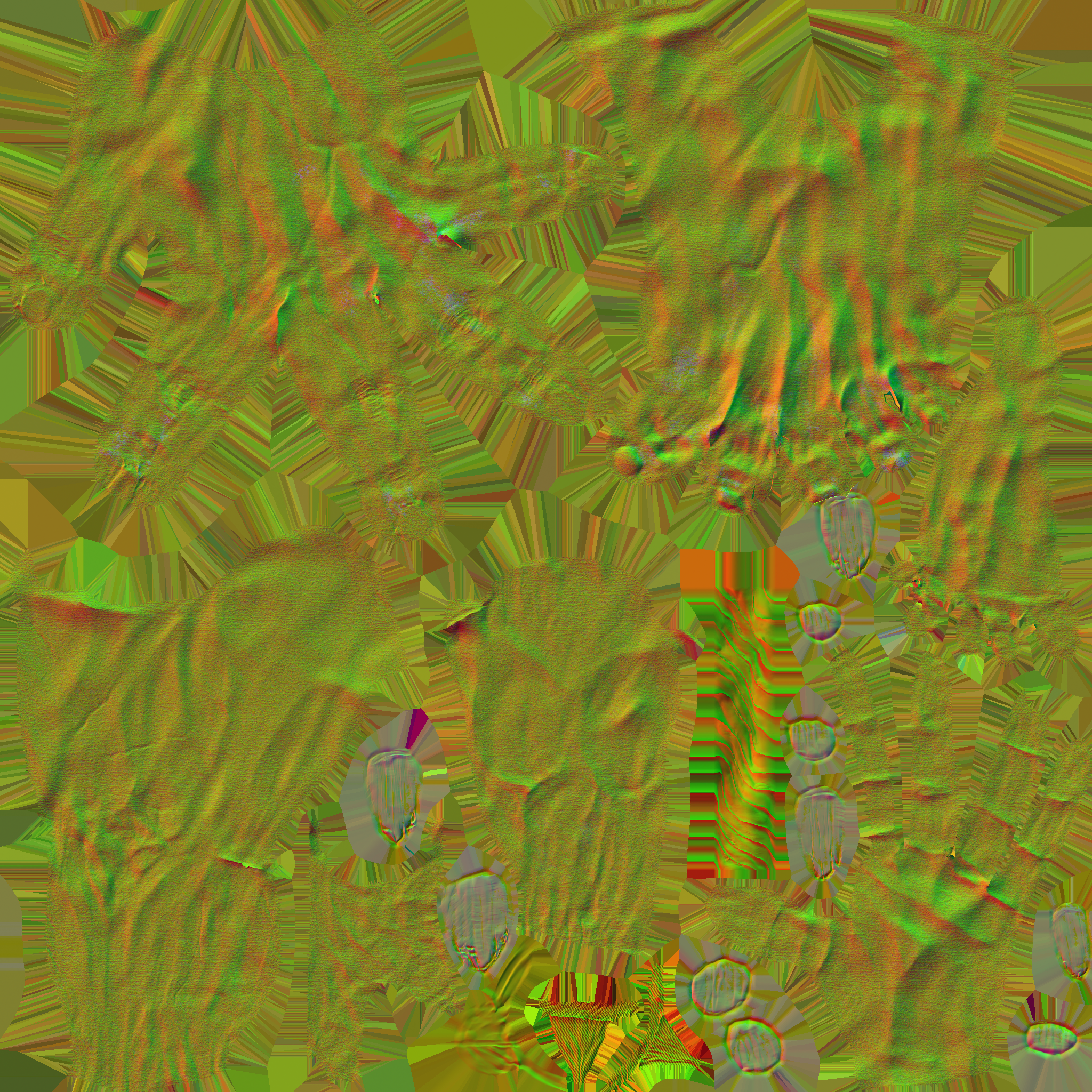 c5210_human_n.png
