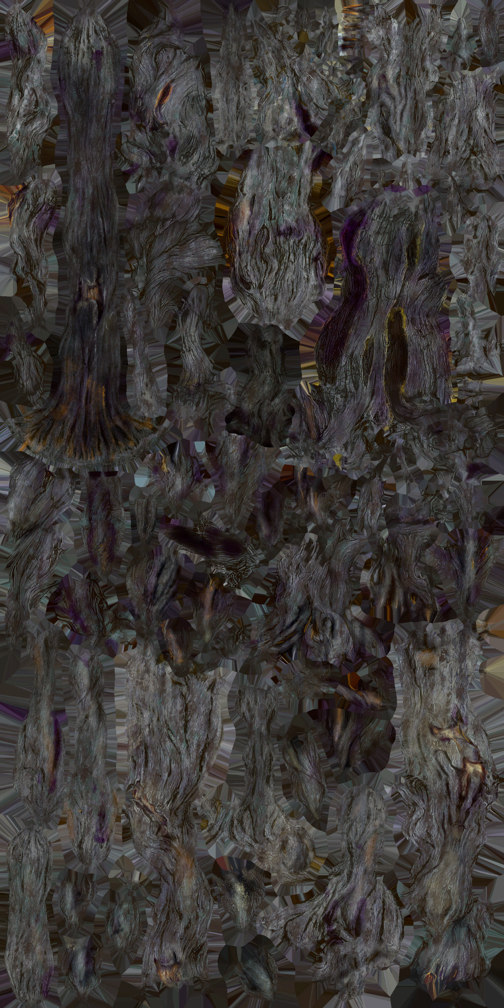 c5230_Body_a.png