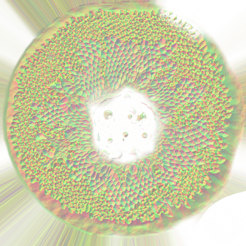 c5230_Head_n.png