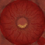 c5390_eyes_red_a.png