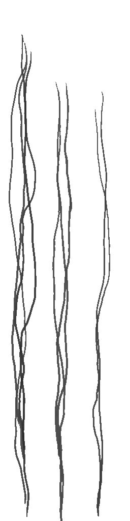 c5511_hair_a.png