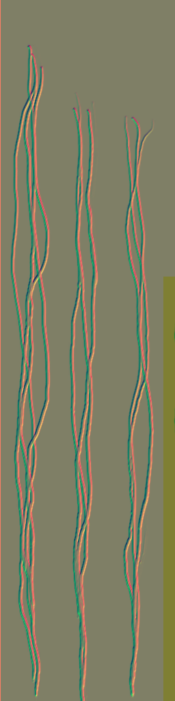 c5511_hair_n.png