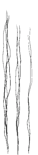 c5512_hair_a.png