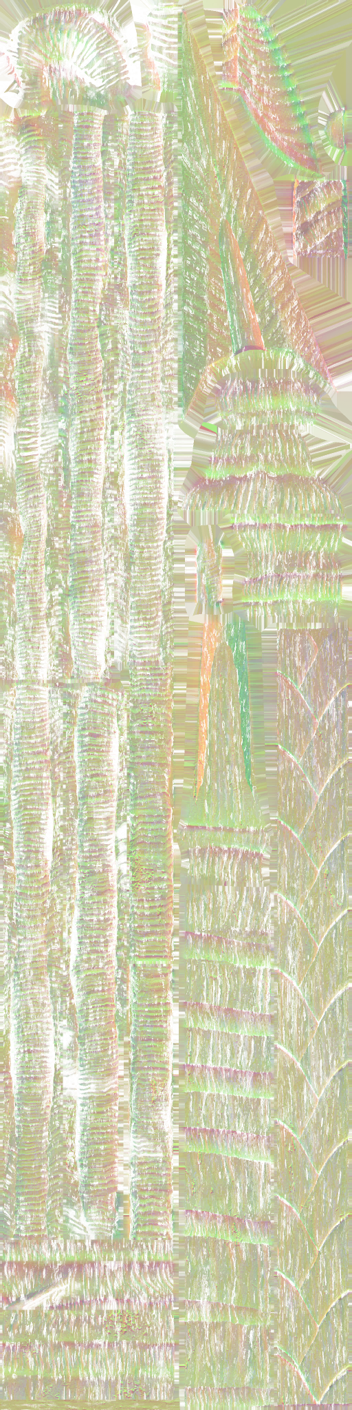 c5790_WP_A_1407_n.png