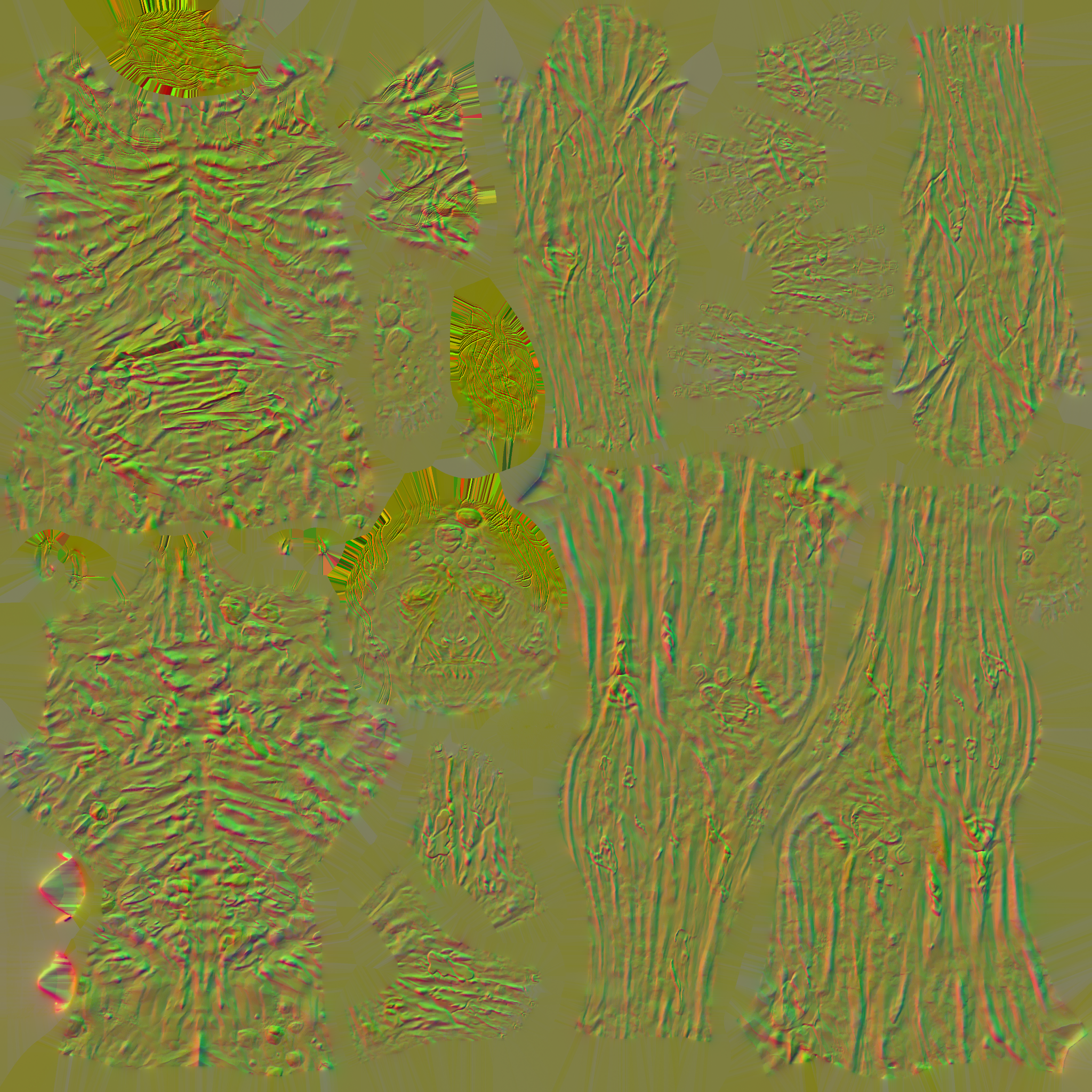 c8904_Body_n.png