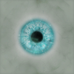 c8907_FC_Eye_a.png