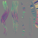 c2040_Hair_n_l.png