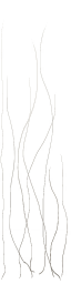 c2060_hair_a_l.png