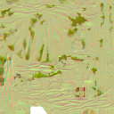 c2110_Robe_HD_n_l.png