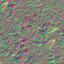 c2120_butterfly_n_l.png
