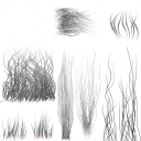 c2130_BD_hair_a_l.png