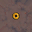 c2130_eye_a_l.png