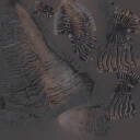 c2140_horn_a_l.png