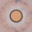 c2180_Eye_a_l.png