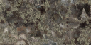 c2273_deadcrab_a_l.png