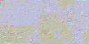 c2275_Body_n_l.png