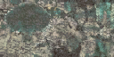 c2277_Body_a_l.png