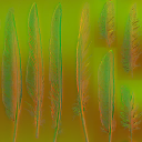 c2500_feather_n_l.png