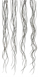 c3010_hair_a_l.png