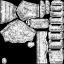 c3050_AM_m_l.png