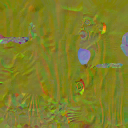 c3070_Skin_n_l.png